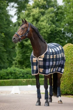 Abschwitzdecke Fleece Check Classic Sports FS26, Fleecedecke