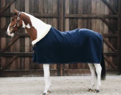 Abschwitzdecke Fleece Show Rug Heavy, Fleecedecke
