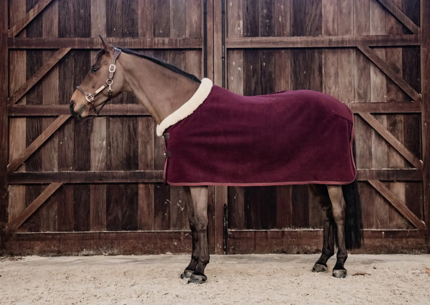 Abschwitzdecke Fleece Show Rug Heavy Limited Edition, Turnierdecke