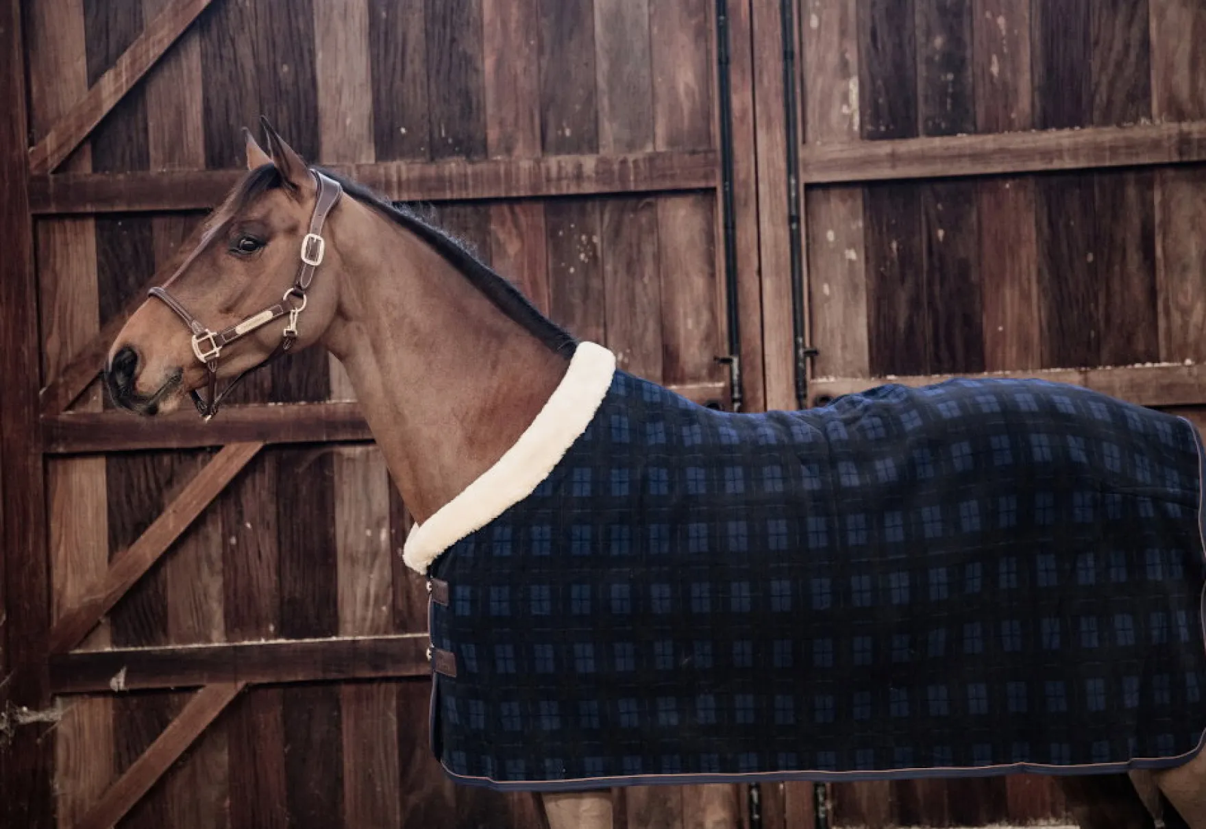 Abschwitzdecke Fleece Show Rug Heavy Limited Edition, Turnierdecke