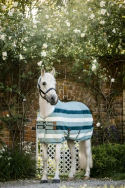 Abschwitzdecke Newmarket Pony Fleece Cooler FS26, Fleecedecke, Ponydecke