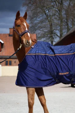 Abschwitzdecke Therapy Cooler, Magnetfelddecke