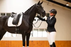 Anatomische Spezialtrense FaySport Glitter, ohne Zügel