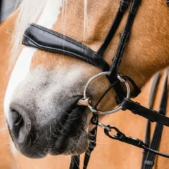 Aufziehriemen für Aufziehtrense, Leder