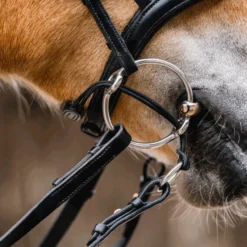 Aufziehriemen für Aufziehtrense, Leder