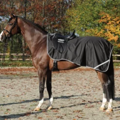 Ausreitdecke