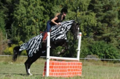 Ausreitdecke Buzz-Off Riding, Fliegendecke