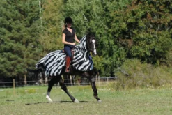 Ausreitdecke Buzz-Off Riding, Fliegendecke