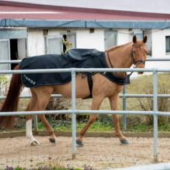 Ausreitdecke Derby, 0 g, 600D, Führanlagendecke