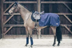Ausreitdecke Quarter Rug All Weather, 160g, Nierendecke