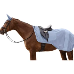 Ausreitdecke Rom FS25, Fliegendecke