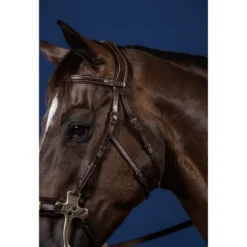 Backenstücke Hackamore, US-Kollektion