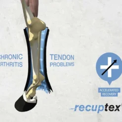 Bandagierunterlagen Magnetic Recuptex