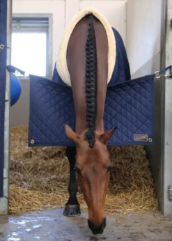 Boxentürverschluss Stable Guard