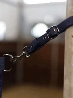 Boxentürverschluss, Stable Guard