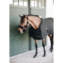 Brustschutz Horse BIB Sommer