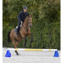 Cavaletti-Block
