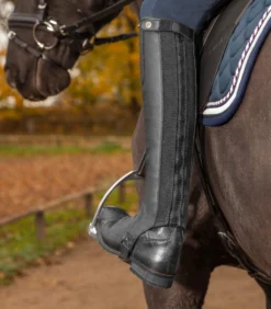 Chaps Exclusive, Reitchaps, Damen, Herren, schwarz