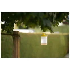 Cit Fliegenfalle FlyCage3