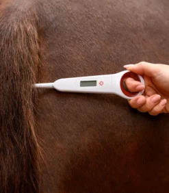 Digital Thermometer, Fieberthermometer