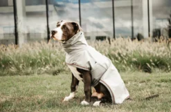 Dog Raincoat, Regenmantel, Hundemantel