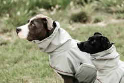 Dog Raincoat, Regenmantel, Hundemantel