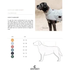 Dog Raincoat, Regenmantel, Hundemantel
