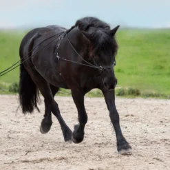 Doppellonge IRHFree Ride