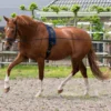 Doppellonge, Longierleine, Longe Doppelt