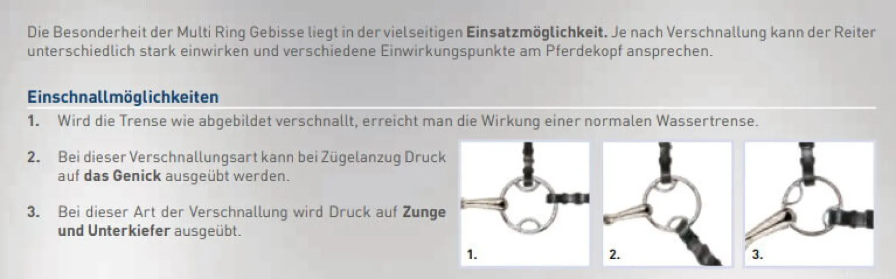 Dynamic RS Multi Ring, doppelt gebrochen