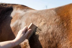 Fellwechselkamm Easy Grooming, Fellwechselhilfe