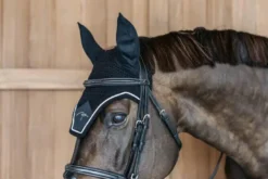 Fliegenhaube Diamond, Fliegenohren, Fliegenmütze