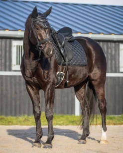 Fliegenhaube Glitter, Fliegenmütze, Fliegenohren