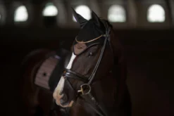 Fliegenhaube Sportive Mocha, Fliegenmütze, Fliegenohren