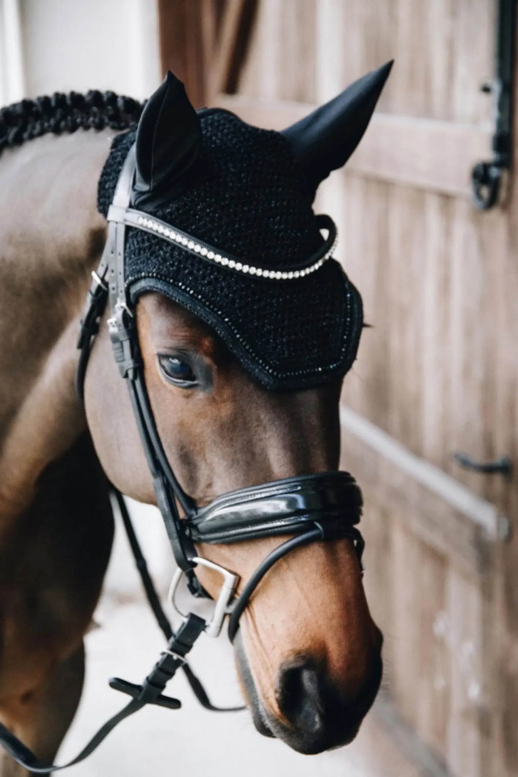 Fliegenhaube Wellington Glitterband, Fliegenmütze, Fliegenohren, glitzer