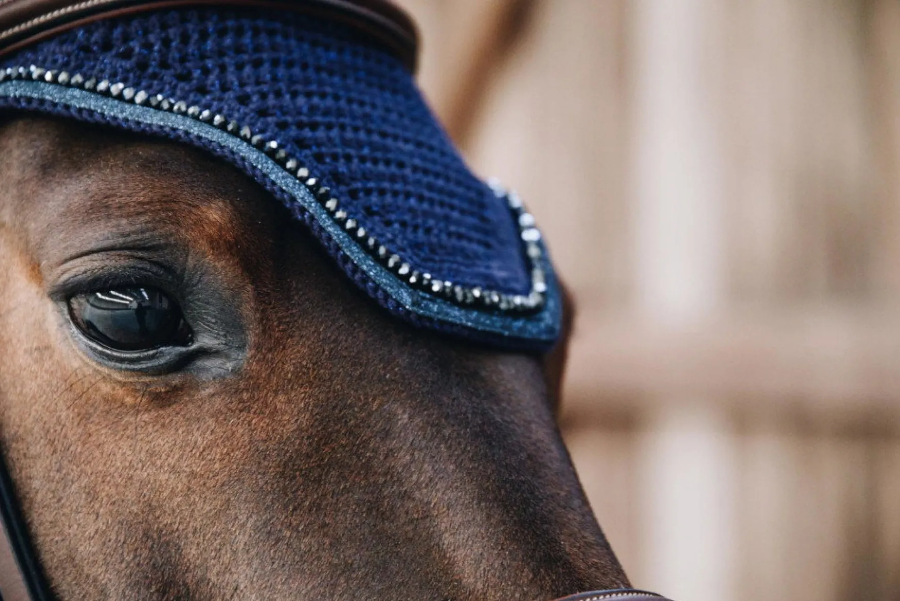 Fliegenhaube Wellington Glitterband Pony, Fliegenmütze, Fliegenohren, glitzer