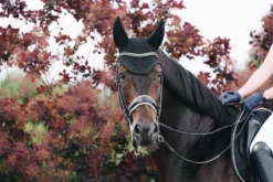 Fliegenhaube Wellington Sparkling, Fliegenmütze, Fliegenohren, glitzer