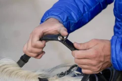 Gurtzügel NoPanic, Sicherheitszügel mit Magnet