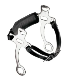Hackamore