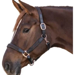 Halfter Mix, Lederhalfter, Webbinghalfter