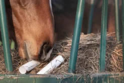 Hautpflege Hydro RepairGel Horse, Hydrogel