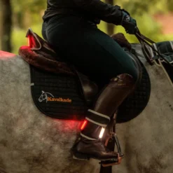 Horselight Set 2, Vorderzeug + Sattelhusse + Beinmanschetten inkl. Leuchten