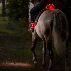 Horselight Set 2, Vorderzeug + Sattelhusse + Beinmanschetten inkl. Leuchten
