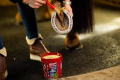 Huffett Hoof Dressing