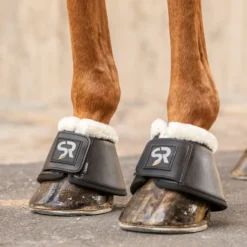 Hufglocken, Springglocken, Leder, mit Fell