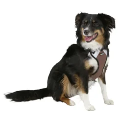 Hundegeschirr Pulsive