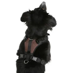 Hundegeschirr Pulsive