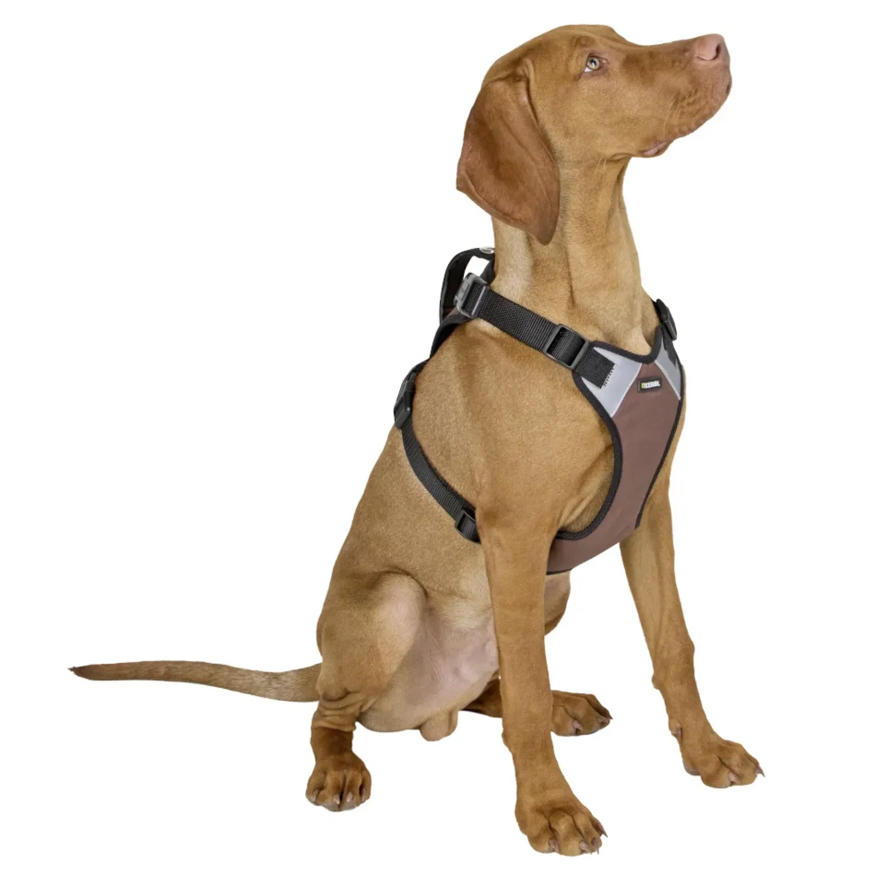 Hundegeschirr Pulsive