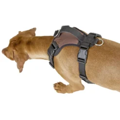 Hundegeschirr Pulsive