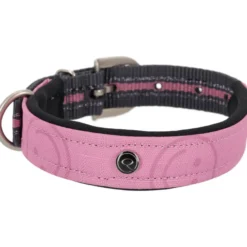 Hundehalsband Collection FS26